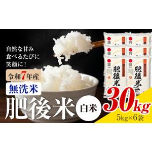 ふるさと納税 熊本県産 肥後米 無洗米 白米 3...の商品画像