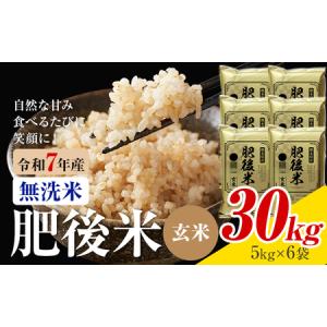 ふるさと納税 熊本県産 肥後米 無洗米 玄米 30kg 1袋5kg 米 お米 令和7年産 九州産 熊本県産 ブレンド米 送料無料《30日以内に出荷予定（土日祝.. 熊本県菊池市