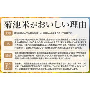 ふるさと納税 【3ヶ月定期便】熊本県産 肥後米...の詳細画像2