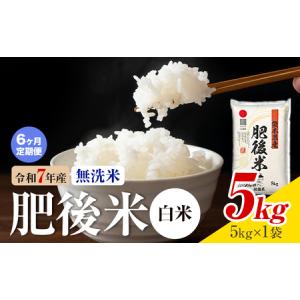 ふるさと納税 【6ヶ月定期便】熊本県産 肥後米 ...の商品画像