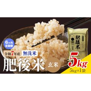ふるさと納税 【6ヶ月定期便】熊本県産 肥後米 無洗米 玄米 5kg 1袋5kg 米 お米 令和7年産 九州産 熊本県産 ブレンド米 送料無料《お申込み翌月.. 熊本県菊池市