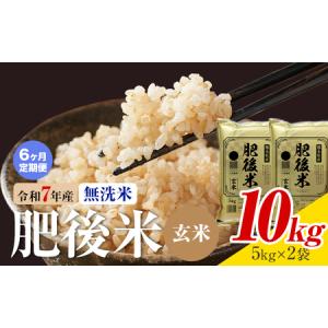 ふるさと納税 【6ヶ月定期便】熊本県産 肥後米 ...の商品画像