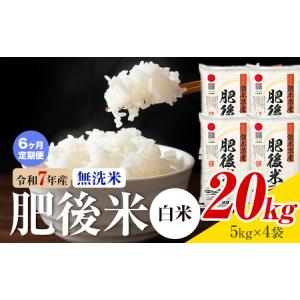 ふるさと納税 【6ヶ月定期便】熊本県産 肥後米 ...の商品画像