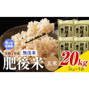 ふるさと納税 【6ヶ月定期便】熊本県産 肥後米 ...の商品画像