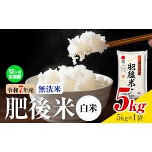 ふるさと納税 【12ヶ月定期便】熊本県産 肥後米 無洗米 白米 5kg 1袋5kg 米 お米 令和7年産 九州産 熊本県産 ブレンド米 送料無料《お申込み翌月.. 熊本県菊池市