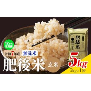 ふるさと納税 【12ヶ月定期便】熊本県産 肥後米...の商品画像