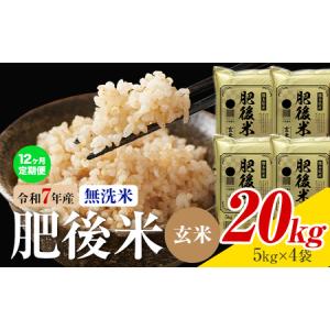 ふるさと納税 【12ヶ月定期便】熊本県産 肥後米 無洗米 玄米 20kg 1袋5kg 米 お米 令和7年産 九州産 熊本県産 ブレンド米 送料無料《お申込み翌.. 熊本県菊池市