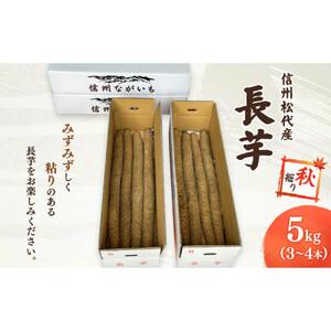 ふるさと納税 長芋（秋堀り）5kg 長野県長野市