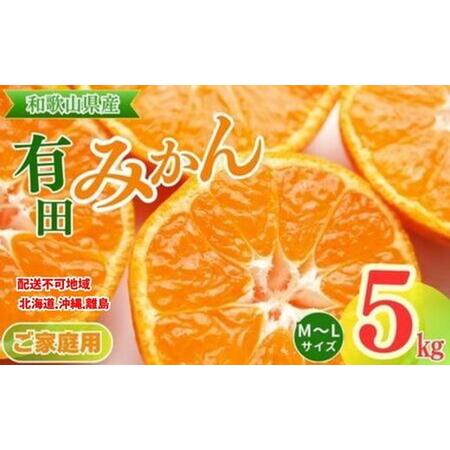 ふるさと納税 【ご家庭用】和歌山有田みかん約5kg(M、Lサイズ)【美浜町】〇 ｜ みかん  和歌山...