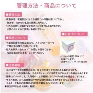 ふるさと納税 ハーバリウムセット MIX お祝...の詳細画像3