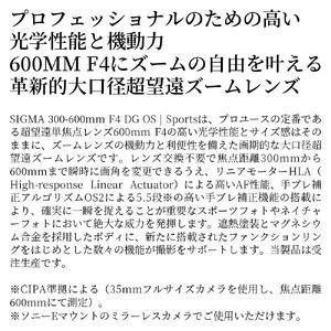 ふるさと納税 SIGMA 300-600mm ...の詳細画像1