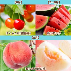 ふるさと納税 【定期便7回】旬です!YAMAG...の詳細画像1