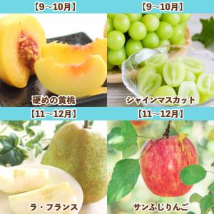 ふるさと納税 【定期便7回】旬です!YAMAG...の詳細画像2