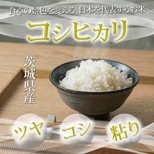 ふるさと納税 米 定期便 3ヶ月 コシヒカリ ...の詳細画像2