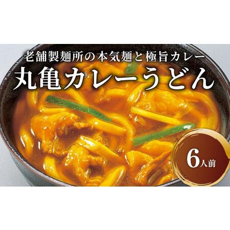 ふるさと納税 讃岐うどん カレーうどん 6人前 スープ付 香川県丸亀市