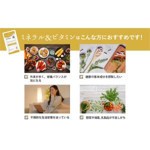ふるさと納税 d’fine ミネラル&ビタミン...の詳細画像1