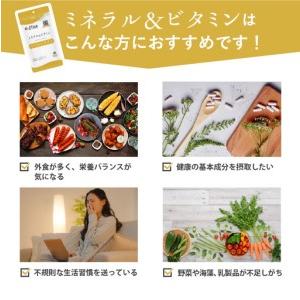 ふるさと納税 d’fine ミネラル&ビタミン...の詳細画像2