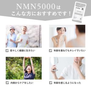ふるさと納税 d’fine NMN5000・コ...の詳細画像2