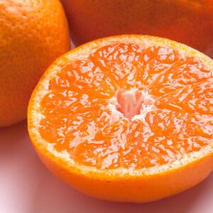 ふるさと納税 極プレミアム有田みかん 約1kg 定期便 全3回 10月・11月・12月発送 和歌山県有田川町｜ふるなび(ふるさと納税)