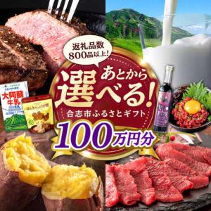 ふるさと納税 【あとから選べる！】合志市 ふるさとギフト 100万円分　【合志市役所】[AYBZ018] 熊本県合志市