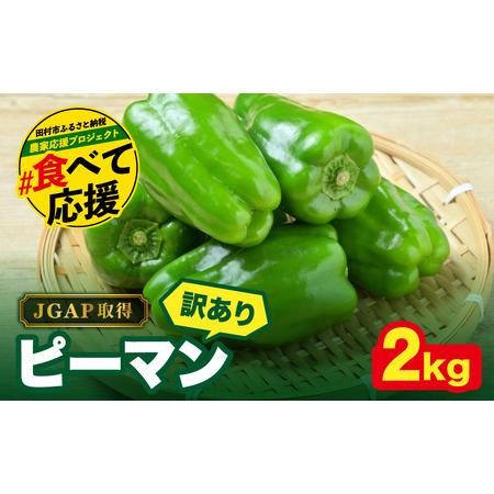 ふるさと納税 【訳あり】【先行予約】ピーマン 2kg JGAP取得 福島県産 田村市 福島県田村市