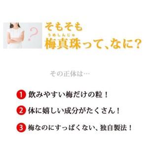 ふるさと納税 梅100%の粒 梅真珠 元気ノ国...の詳細画像1