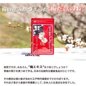 ふるさと納税 梅100%の粒 梅真珠 元気ノ国...の詳細画像2