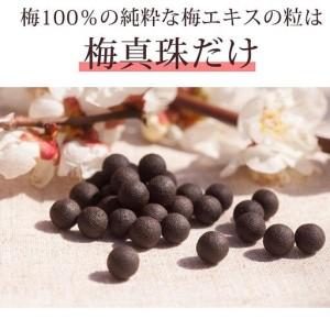 ふるさと納税 梅100%の粒 梅真珠 元気ノ国...の詳細画像4