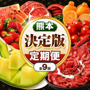 ふるさと納税 【 定期便 9回 】 熊本県 決定版 |（ いちご みかん 不知火 デコポン スイカ メロン あか牛 牛肉 海苔 焼き海苔 馬肉 ウインナー .. 熊本県玉名市