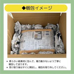 ふるさと納税 エケベリア おまかせ 20個 セ...の詳細画像4