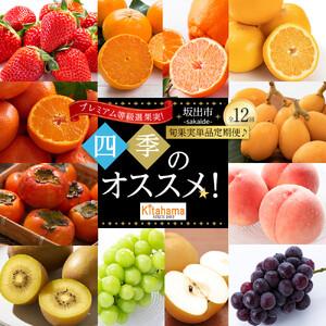 ふるさと納税 【全12回】《プレミアム等級選果実！》坂出市四季のオススメ！旬果実単品定期便♪ 香川県坂出市