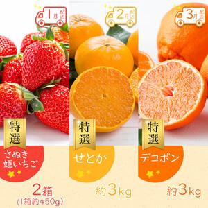 ふるさと納税 【全12回】《プレミアム等級選果...の詳細画像1