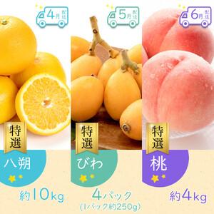 ふるさと納税 【全12回】《プレミアム等級選果...の詳細画像2