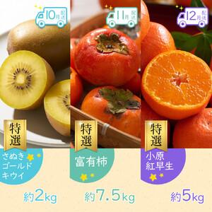 ふるさと納税 【全12回】《プレミアム等級選果...の詳細画像4