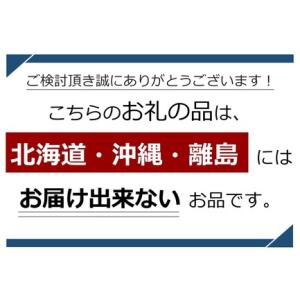 ふるさと納税 冷凍 熟成 市田柿 贈答用 12...の詳細画像4