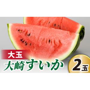 ふるさと納税 <2026年収穫分 先行予約>大崎...の商品画像