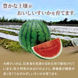 ふるさと納税 <2026年収穫分 先行予約>大...の詳細画像1