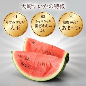 ふるさと納税 <2026年収穫分 先行予約>大...の詳細画像2