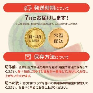 ふるさと納税 <2026年収穫分 先行予約>大...の詳細画像4