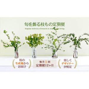 ふるさと納税 674.【月1回・12ヶ月定期便】旬をかざる枝もの定期便（年12回）＋初回ガラスベース付き 鳥取県北栄町