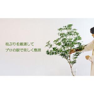ふるさと納税 674.【月1回・12ヶ月定期便...の詳細画像1