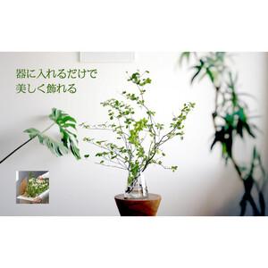 ふるさと納税 674.【月1回・12ヶ月定期便...の詳細画像2