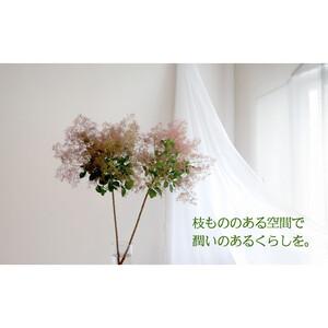 ふるさと納税 674.【月1回・12ヶ月定期便...の詳細画像3