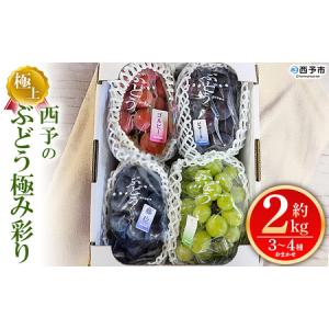 ふるさと納税 ＜西予の極上ぶどう極み彩り 約2kg＞ 果物 くだもの フルーツ ぶどう 葡萄 ブドウ 7種 詰め合わせ 食べ比べ 藤稔 瀬戸ジャイアンツ.. 愛媛県西予市