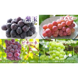 ふるさと納税 <西予の極上ぶどう極み彩り 約2...の詳細画像3