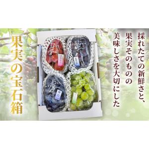 ふるさと納税 <西予の極上ぶどう極み彩り 約2...の詳細画像4