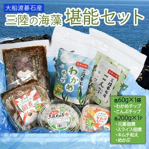 ふるさと納税 三陸の海藻 堪能セット 6種 岩手県大船渡市