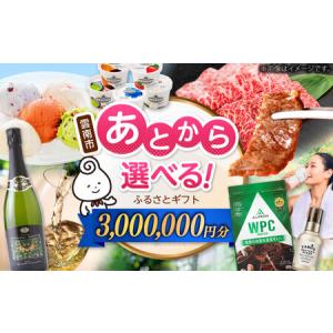 ふるさと納税 あとから選べる 【あとから選べる】...の商品画像