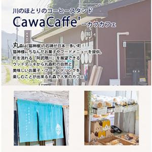ふるさと納税 ねこの形がかわいい!猫神様のケー...の詳細画像3