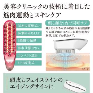 ふるさと納税 <cattre カトレ> レスカ...の詳細画像2
